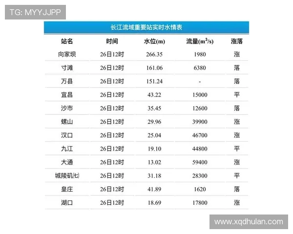 数据分析:武汉乒乓球队的灵活性表现