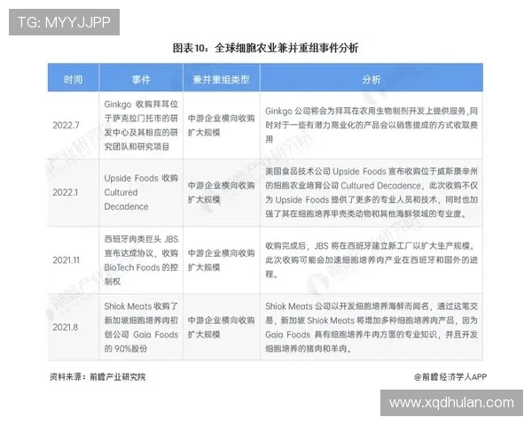 重庆网球队在世界杯中的团队协作表现分析与启示